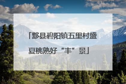 黟县碧阳镇五里村盛夏桃熟好“丰”景