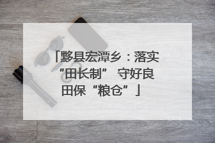 黟县宏潭乡：落实“田长制” 守好良田保“粮仓”