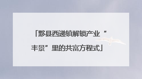 黟县西递镇解锁产业“丰景”里的共富方程式