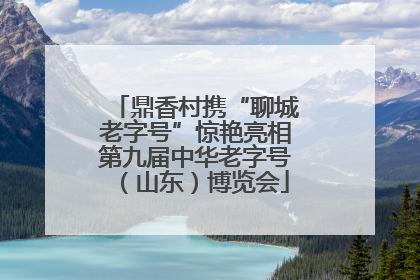鼎香村携“聊城老字号”惊艳亮相第九届中华老字号（山东）博览会