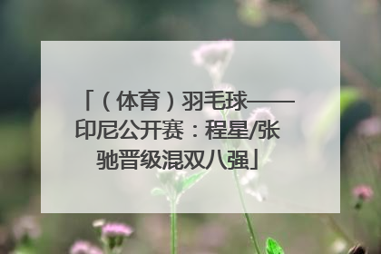 （体育）羽毛球——印尼公开赛：程星/张驰晋级混双八强