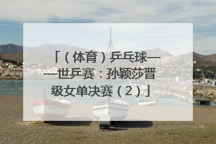 （体育）乒乓球——世乒赛：孙颖莎晋级女单决赛（2）