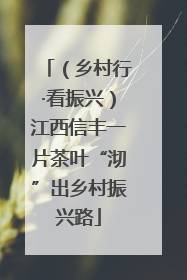 （乡村行·看振兴）江西信丰一片茶叶“沏”出乡村振兴路