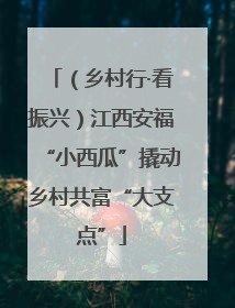 （乡村行·看振兴）江西安福“小西瓜”撬动乡村共富“大支点”