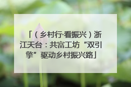 （乡村行·看振兴）浙江天台：共富工坊“双引擎”驱动乡村振兴路