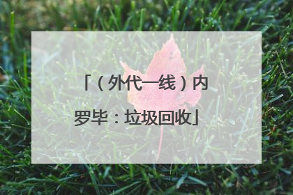 （外代一线）内罗毕：垃圾回收