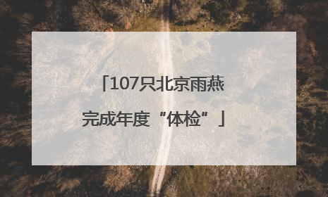 107只北京雨燕完成年度“体检”