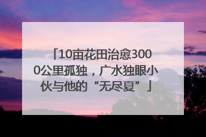 10亩花田治愈3000公里孤独，广水独眼小伙与他的“无尽夏”