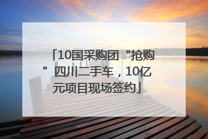 10国采购团“抢购”四川二手车，10亿元项目现场签约