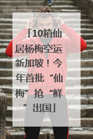 10箱仙居杨梅空运新加坡！今年首批“仙梅”抢“鲜”出国