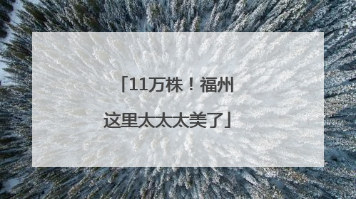 11万株！福州这里太太太美了