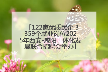 122家优质民企 3359个就业岗位2025年西安-咸阳一体化发展联合招聘会举办