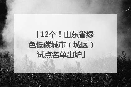 12个！山东省绿色低碳城市（城区）试点名单出炉