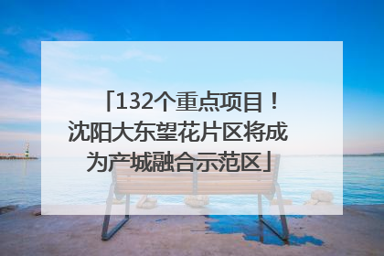 132个重点项目！沈阳大东望花片区将成为产城融合示范区
