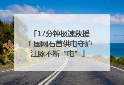 17分钟极速救援！国网石首供电守护江豚不断“电”
