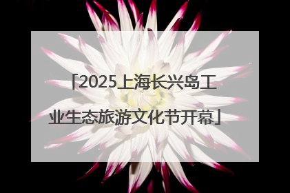 2025上海长兴岛工业生态旅游文化节开幕