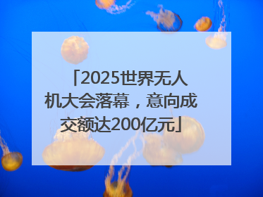 2025世界无人机大会落幕，意向成交额达200亿元