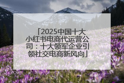 2025中国十大小红书电商代运营公司：十大领军企业引领社交电商新风向