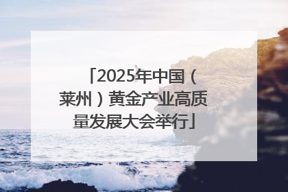 2025年中国（莱州）黄金产业高质量发展大会举行