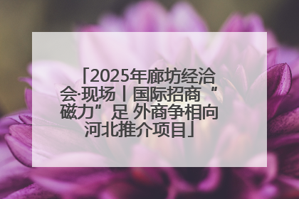 2025年廊坊经洽会·现场丨国际招商“磁力”足 外商争相向河北推介项目