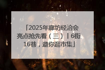 2025年廊坊经洽会亮点抢先看（三）丨6街16巷，邀你逛市集