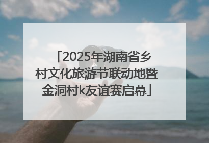 2025年湖南省乡村文化旅游节联动地暨金洞村k友谊赛启幕
