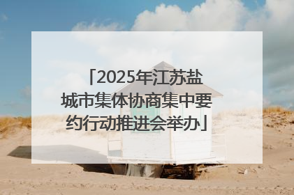 2025年江苏盐城市集体协商集中要约行动推进会举办