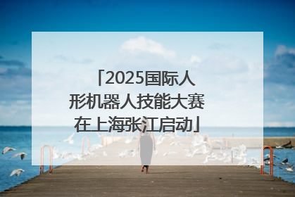 2025国际人形机器人技能大赛在上海张江启动