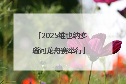 2025维也纳多瑙河龙舟赛举行