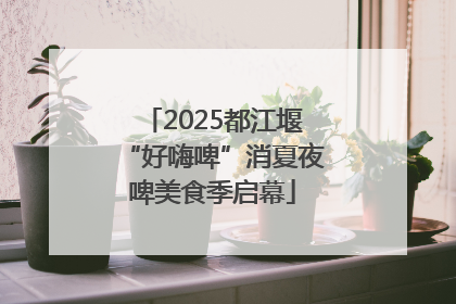 2025都江堰“好嗨啤”消夏夜啤美食季启幕
