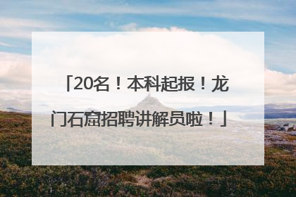 20名！本科起报！龙门石窟招聘讲解员啦！