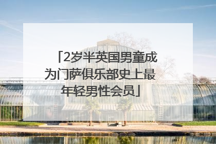2岁半英国男童成为门萨俱乐部史上最年轻男性会员
