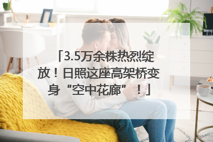 3.5万余株热烈绽放！日照这座高架桥变身“空中花廊”！
