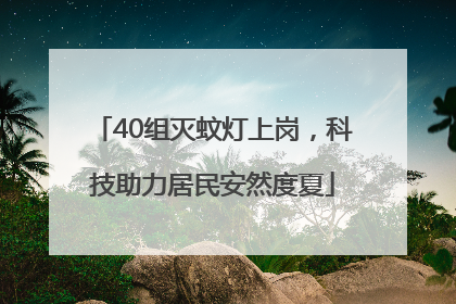40组灭蚊灯上岗，科技助力居民安然度夏