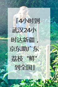 4小时到武汉24小时达新疆，京东助广东荔枝“鲜”到全国