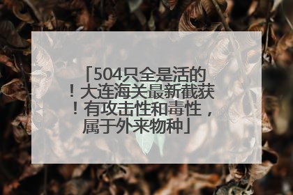 504只全是活的！大连海关最新截获！有攻击性和毒性，属于外来物种