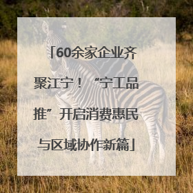 60余家企业齐聚江宁！“宁工品推”开启消费惠民与区域协作新篇