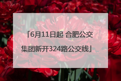 6月11日起 合肥公交集团新开324路公交线