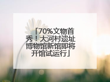 70%文物首秀！大河村遗址博物馆新馆即将开馆试运行