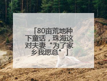 80亩荒地种下童话,珠海这对夫妻“为了家乡我愿意”