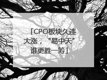 CPO板块久违大涨，“易中天”谁更胜一筹