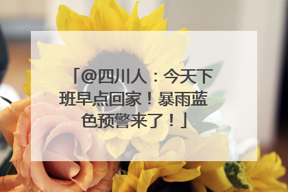 @四川人：今天下班早点回家！暴雨蓝色预警来了！