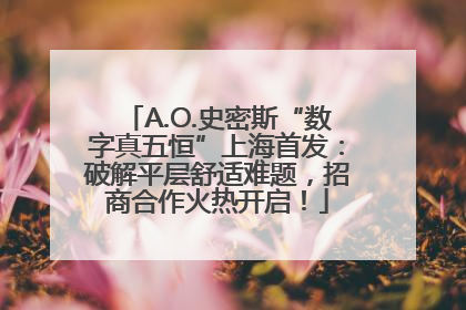 A.O.史密斯“数字真五恒”上海首发：破解平层舒适难题，招商合作火热开启！