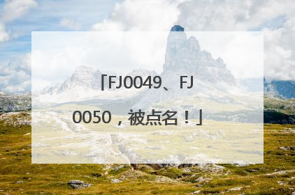 FJ0049、FJ0050，被点名！